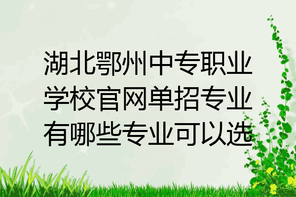 湖北鄂州中专职业学校官网单招专业有哪些专业可以选
