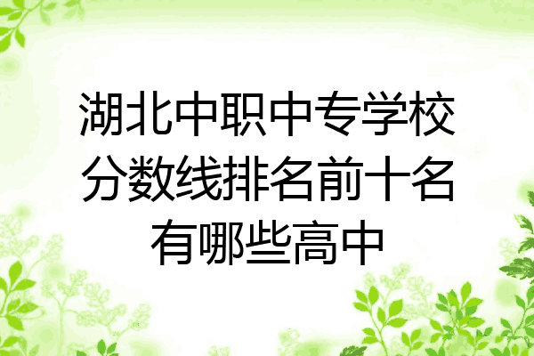 湖北中职中专学校分数线排名前十名有哪些高中