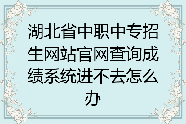 湖北省中职中专招生网站官网查询成绩系统进不去怎么办
