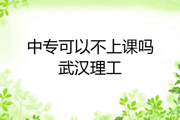 中专可以不上课吗武汉理工