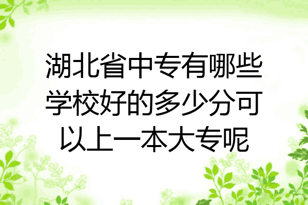 湖北省中专有哪些学校好的多少分可以上一本大专呢