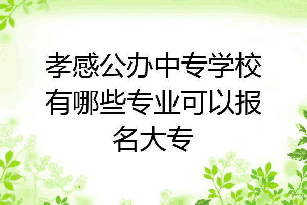 孝感公办中专学校有哪些专业可以报名大专