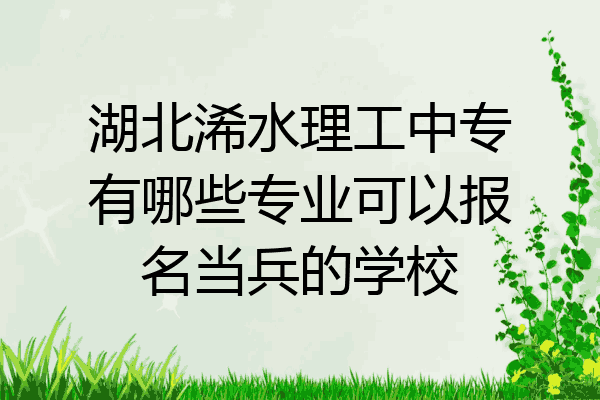 湖北浠水理工中专有哪些专业可以报名当兵的学校