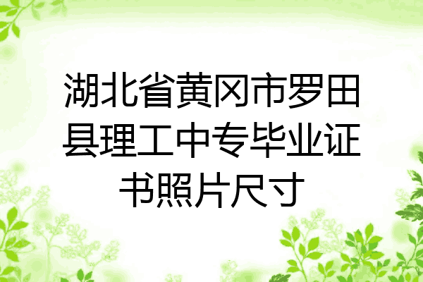 湖北省黄冈市罗田县理工中专毕业证书照片尺寸