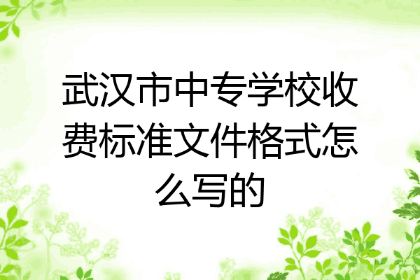 武汉市中专学校收费标准文件格式怎么写的