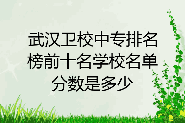 武汉卫校中专排名榜前十名学校名单分数是多少
