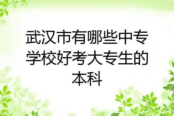 武汉市有哪些中专学校好考大专生的本科