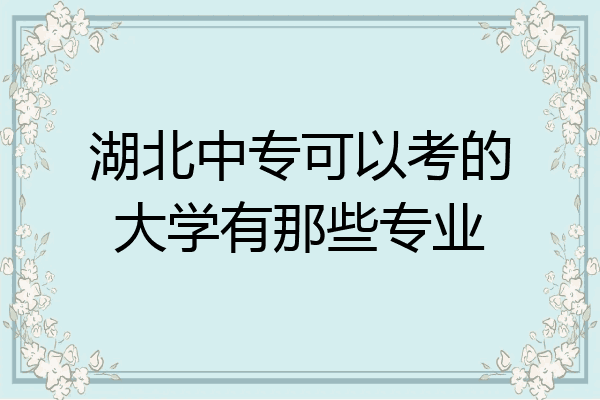 湖北中专可以考的大学有那些专业