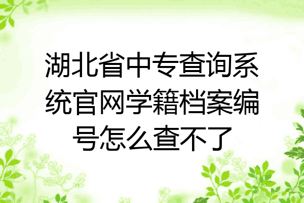 湖北省中专查询系统官网学籍档案编号怎么查不了