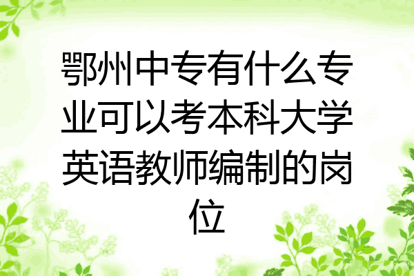 鄂州中专有什么专业可以考本科大学英语教师编制的岗位