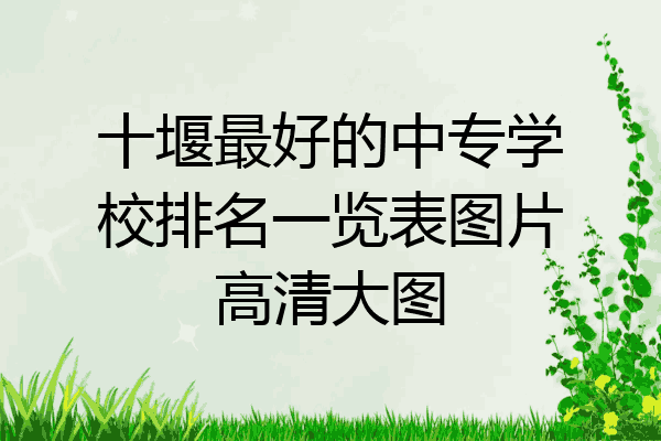 十堰最好的中专学校排名一览表图片高清大图