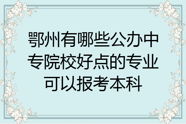 鄂州有哪些公办中专院校好点的专业可以报考本科