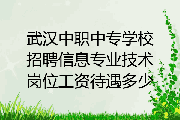 武汉中职中专学校招聘信息专业技术岗位工资待遇多少