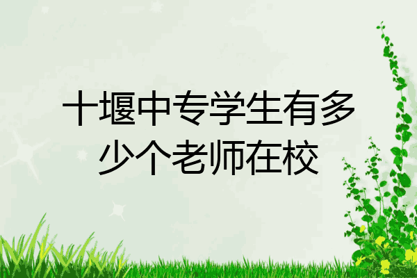十堰中专学生有多少个老师在校