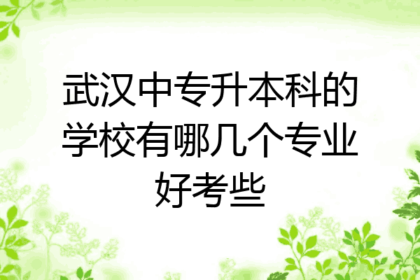 武汉中专升本科的学校有哪几个专业好考些