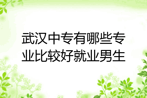 武汉中专有哪些专业比较好就业男生