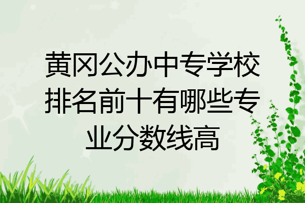 黄冈公办中专学校排名前十有哪些专业分数线高