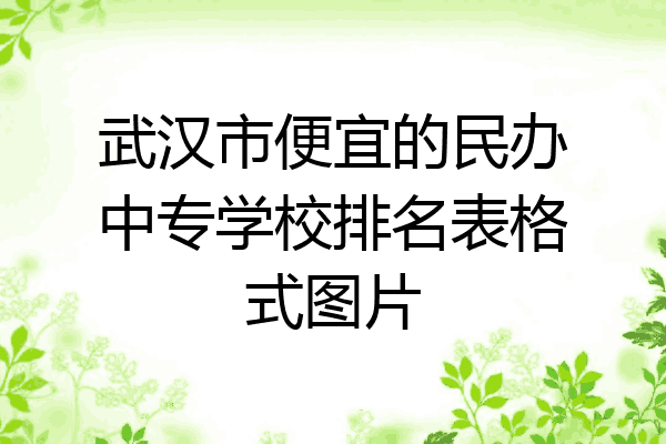 武汉市便宜的民办中专学校排名表格式图片