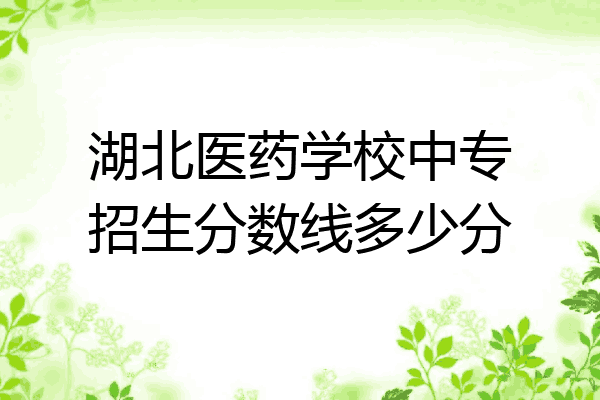 湖北医药学校中专招生分数线多少分