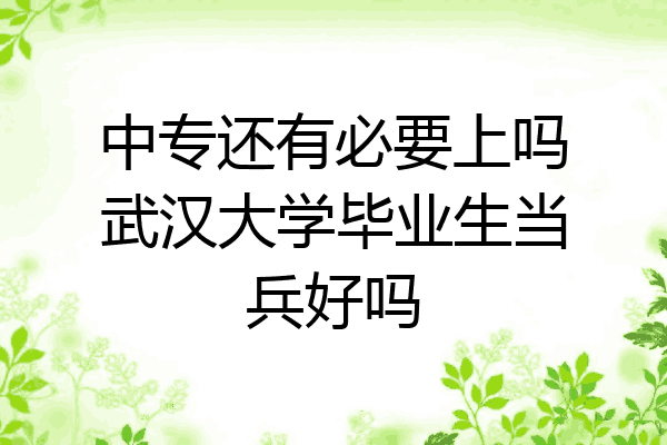 中专还有必要上吗武汉大学毕业生当兵好吗