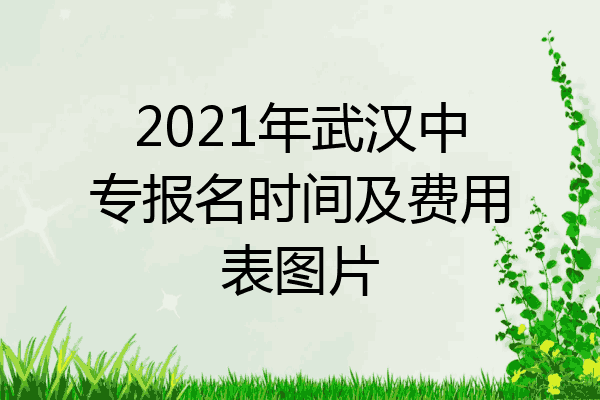 2021年武汉中专报名时间及费用表图片