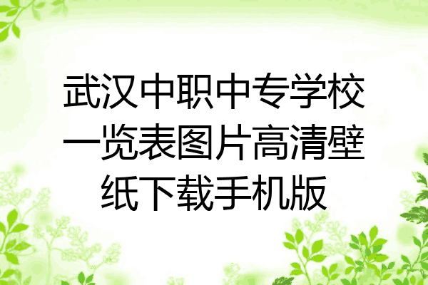 武汉中职中专学校一览表图片高清壁纸下载手机版
