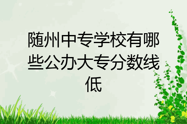 随州中专学校有哪些公办大专分数线低