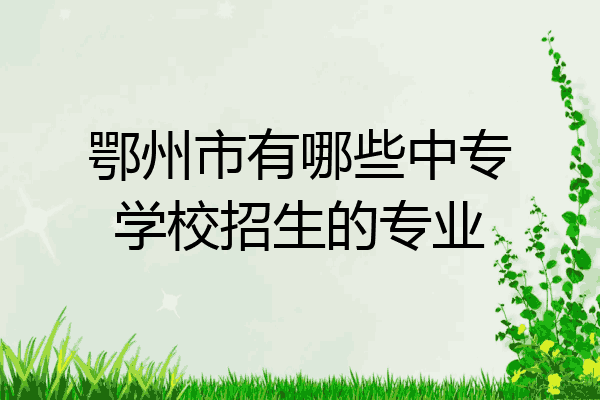 鄂州市有哪些中专学校招生的专业