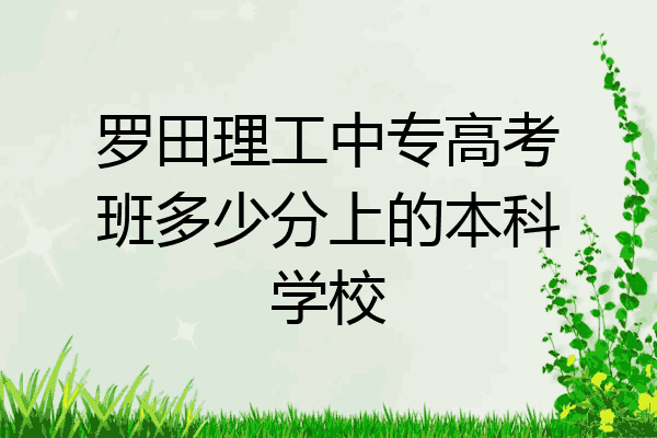 罗田理工中专高考班多少分上的本科学校