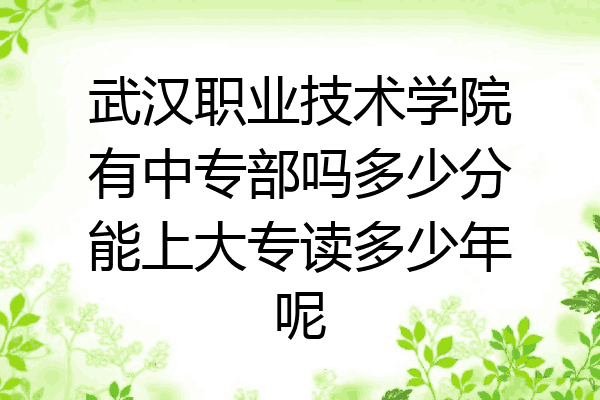 武汉职业技术学院有中专部吗多少分能上大专读多少年呢