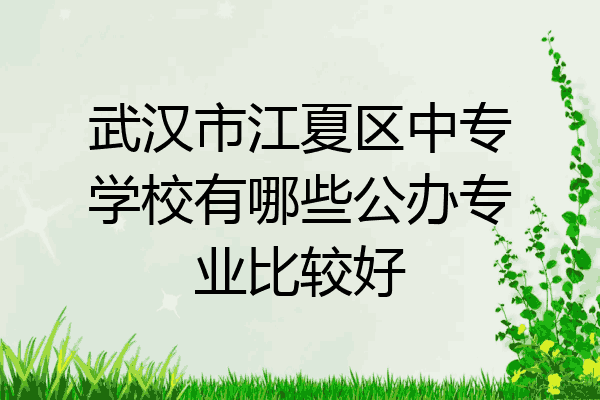 武汉市江夏区中专学校有哪些公办专业比较好