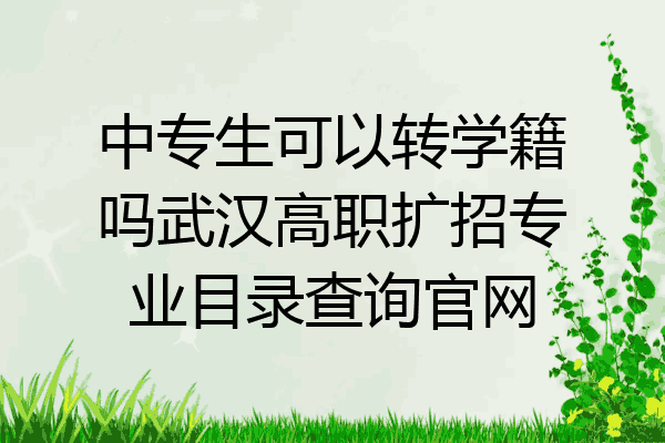 中专生可以转学籍吗武汉高职扩招专业目录查询官网