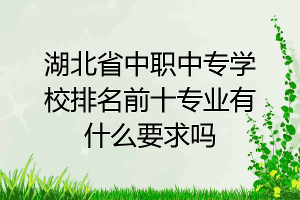 湖北省中职中专学校排名前十专业有什么要求吗