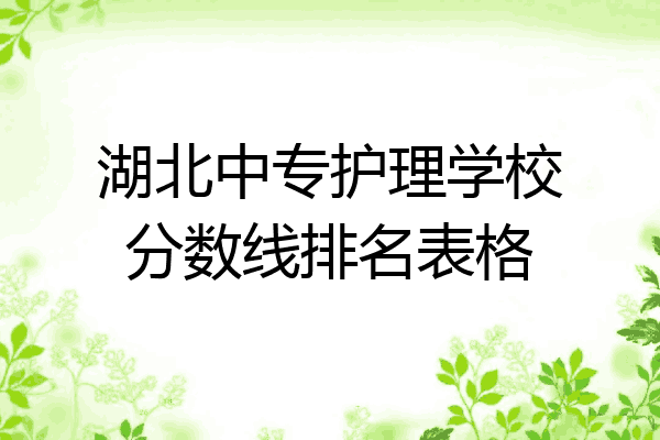 湖北中专护理学校分数线排名表格