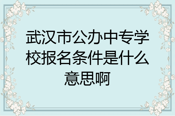 武汉市公办中专学校报名条件是什么意思啊
