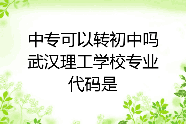 中专可以转初中吗武汉理工学校专业代码是