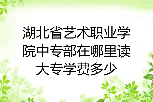 湖北省艺术职业学院中专部在哪里读大专学费多少