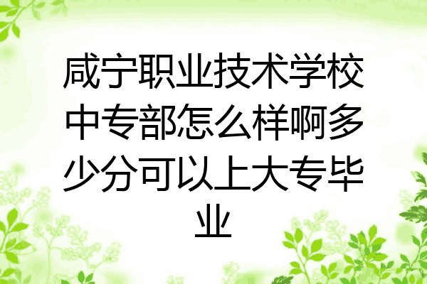 咸宁职业技术学校中专部怎么样啊多少分可以上大专毕业