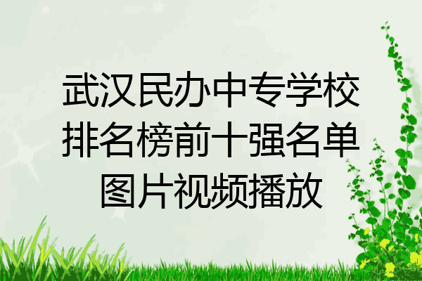 武汉民办中专学校排名榜前十强名单图片视频播放