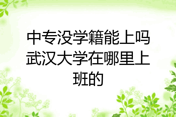 中专没学籍能上吗武汉大学在哪里上班的