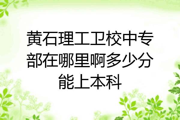 黄石理工卫校中专部在哪里啊多少分能上本科
