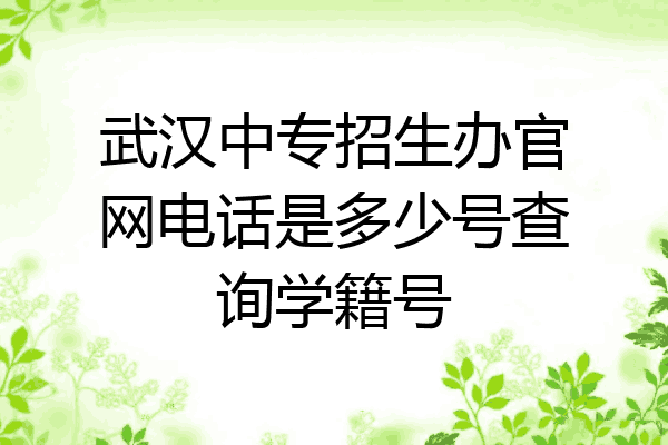 武汉中专招生办官网电话是多少号查询学籍号