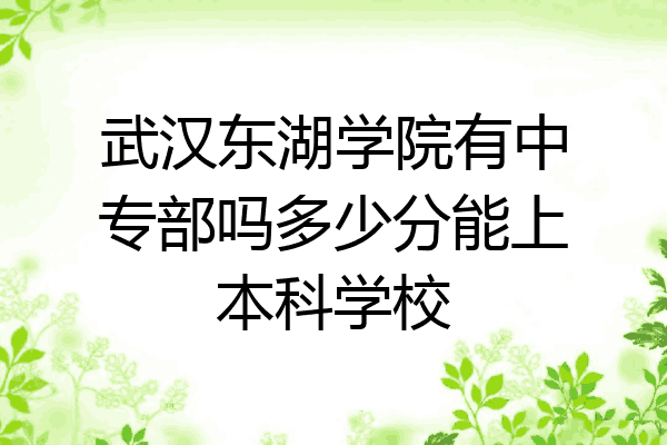 武汉东湖学院有中专部吗多少分能上本科学校