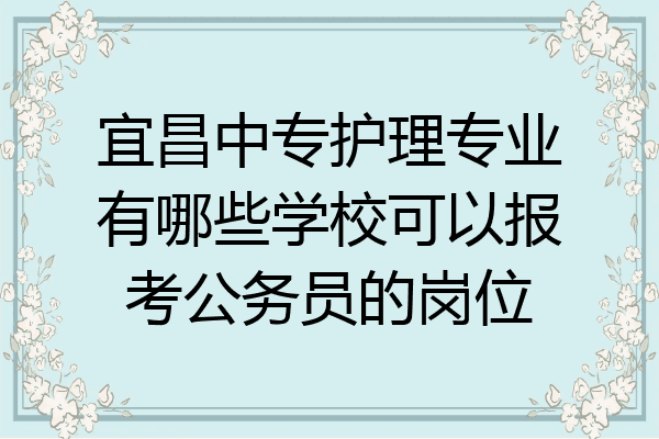 宜昌中专护理专业有哪些学校可以报考公务员的岗位