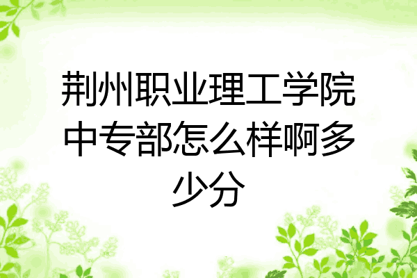 荆州职业理工学院中专部怎么样啊多少分