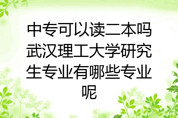 中专可以读二本吗武汉理工大学研究生专业有哪些专业呢