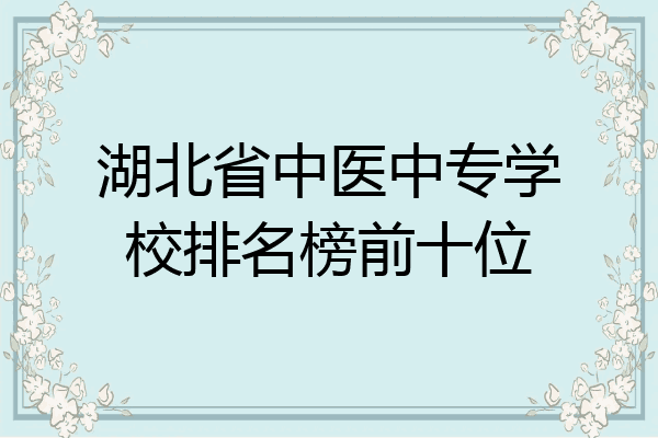 湖北省中医中专学校排名榜前十位