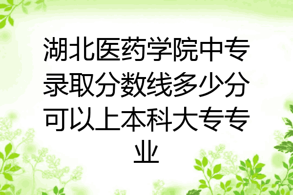 湖北医药学院中专录取分数线多少分可以上本科大专专业