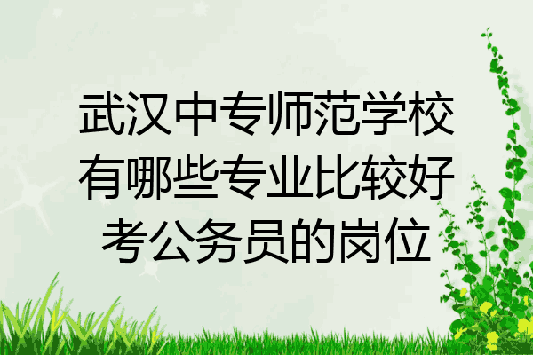 武汉中专师范学校有哪些专业比较好考公务员的岗位