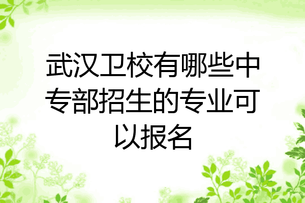 武汉卫校有哪些中专部招生的专业可以报名